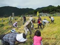 写真：白糸の里3