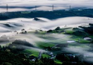 写真：絶景の茶畑