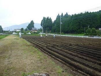 写真：遊休農地