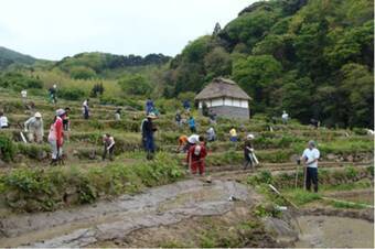 写真：富士常葉あぜ塗り