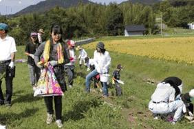 写真：彼岸花の植栽