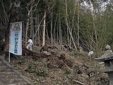 写真：放置竹林伐採作業3