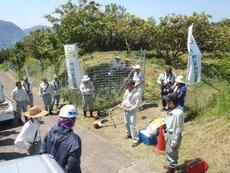 写真：290520白びわ園1