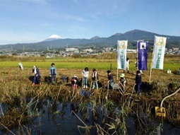 写真：わんどのきゃーぼり大会