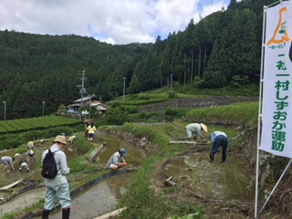 写真：30大栗安×松和技研1