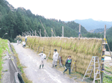 写真:松和技研・はざかけ