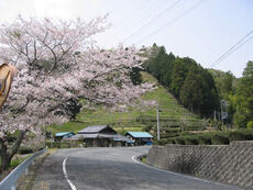 写真：敷地地区全景2