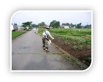 写真:地域の草刈り活動