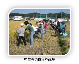 写真：児童らの稲刈り遊び