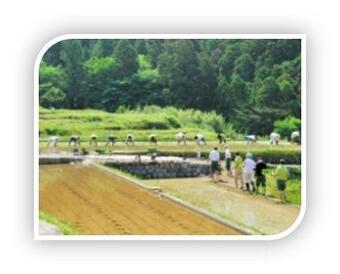 写真:「一社一村しずおか運動」による田植え