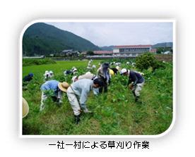 写真：一社一村しずおか運動による草刈り作業
