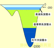 イラスト：黒潮系深層水、亜寒帯系深層水、太平洋深層水