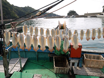 写真：仁科船上沖干しイカ2