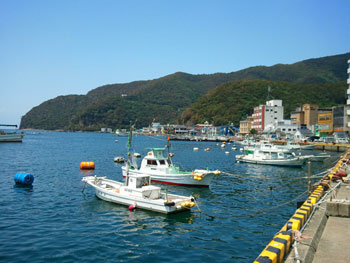 写真：戸田周辺風景
