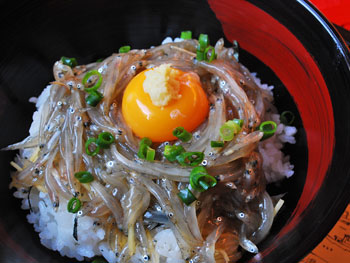 写真：赤富士丼