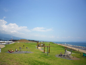 写真：田子の浦景観