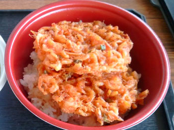 写真:桜えびかき揚げ丼