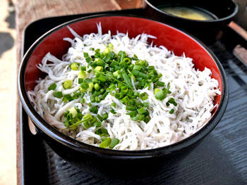 写真：釜揚げしらす丼