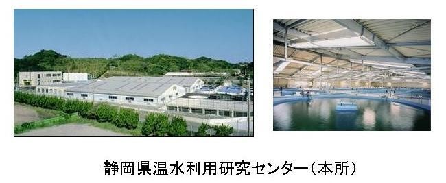 写真：静岡県温水利用センター本所