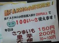 チラシの写真：掛FARMのお野菜限定！掛FARMのお野菜購入額が200円以上で100い～さ使えます！本日はさつまいも150円里芋200円大根70～100円