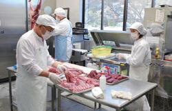 写真：シカ肉の処理作業の様子