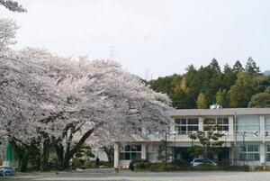 写真:さくら咲く学校外観