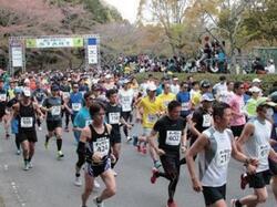 写真：掛川新茶マラソンの様子