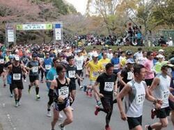 写真:掛川新茶マラソンの様子