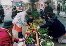 写真：道路脇の花壇の手入れ