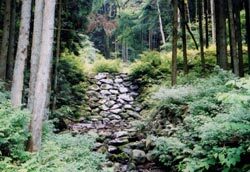 写真:七号堰堤