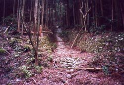 写真:流路工1