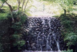 写真:木和田川