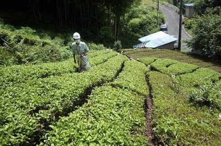 写真：大滝