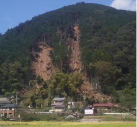 写真:桂山沼側
