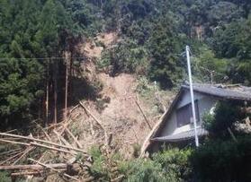 写真:向山
