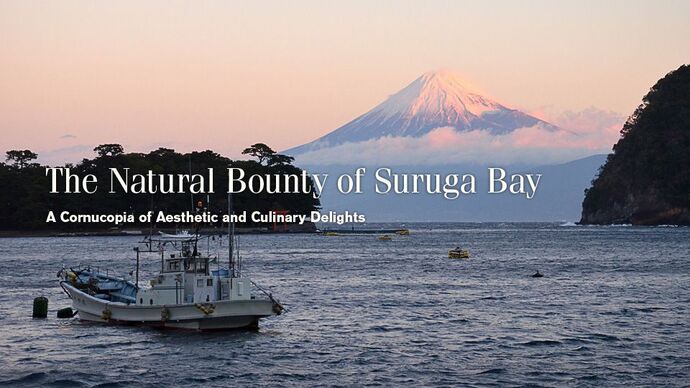 The Natural Bounty of Suruga Bay - A Cornucopia of Aesthetic and Culinary Delights