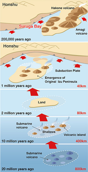 Sea Plate Moved history