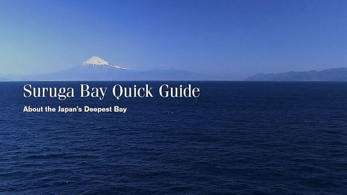 Suruga Bay Quick Guide - About the Japan's Deepest Bay