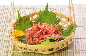 Sakura-ebi shrimp photo