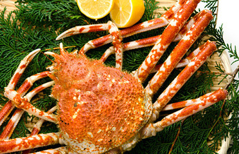 Boiled spider crab photo
