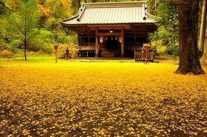 令和7年度静岡県議会だより写真コンクール秋の部特選作品