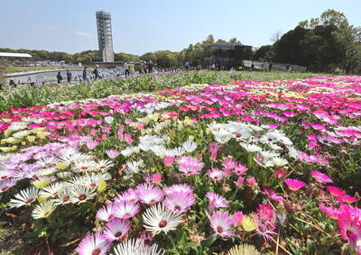 令和7年度静岡県議会だより写真コンクール春の部特選作品