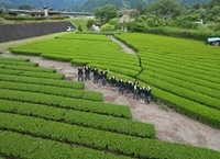 静岡県立川根高等学校