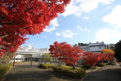 写真：紅葉と校舎