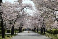 静岡県立富士宮北高等学校