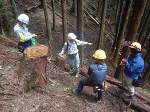 写真：職場の様子 林業1