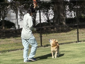写真：職場の様子5