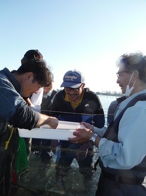 水産・海洋技術研究所浜名湖分場の写真