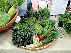 写真:箱根せいろく野菜
