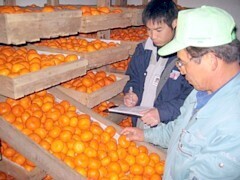 写真:貯蔵庫の巡回